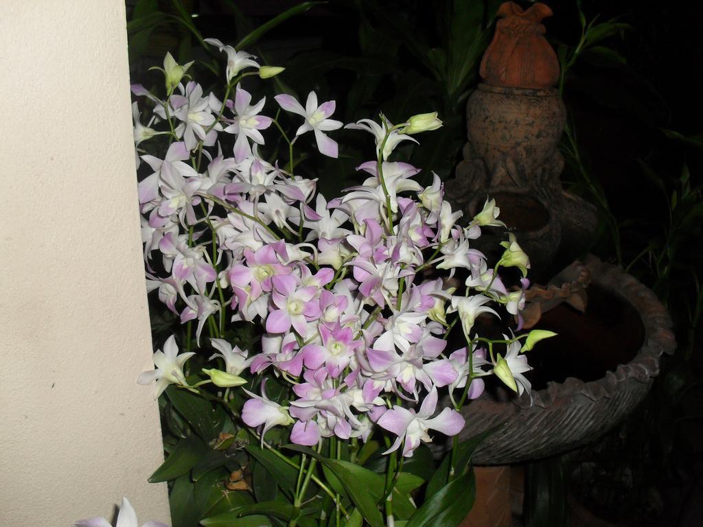 Your House 3 Guest House Chiang Mai Zewnętrze zdjęcie